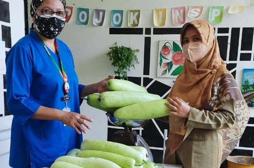 HASIL PANEN KEBUN REHABILITAN, DARI PASIEN - UNTUK PASIEN